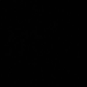 Meet your Posher, Ishrit